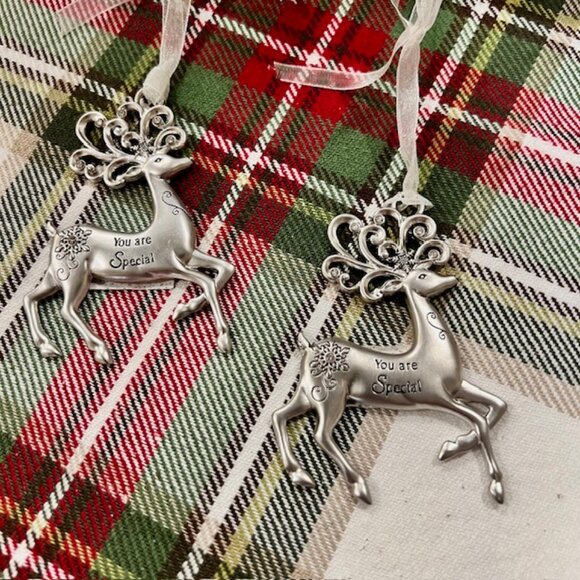 You are Special Merry Reindeer Christmas Ornaments or Gift Tags by Ganz - Picture 2 of 5